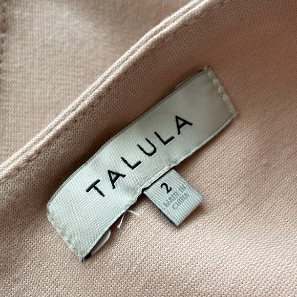 Talula (Aritzia) blush pink bodycon skirt. Size 2 - Picture 3 of 5